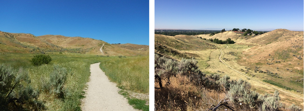 Hillside_before&after.png